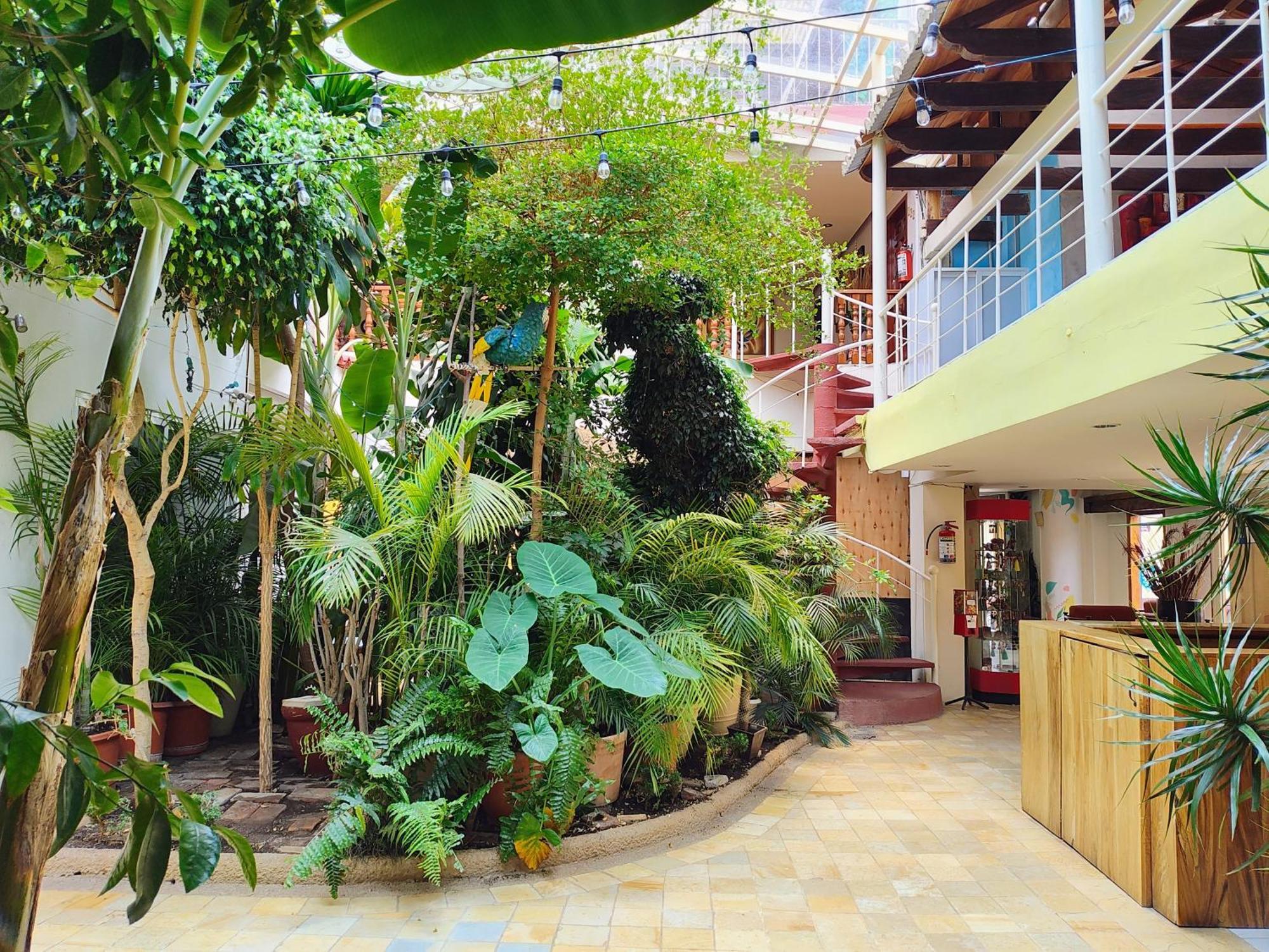 Hotel Barrio Antiguo San Cristóbal de Las Casas Eksteriør bilde